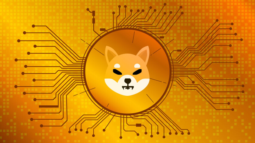 Shiba Inu: Crypto; Dogecoin: Memecoin with Elon Musk influence.